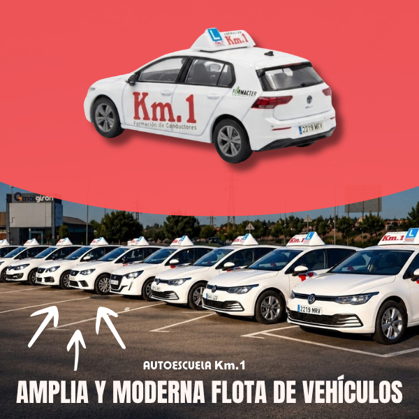 imagen_000006