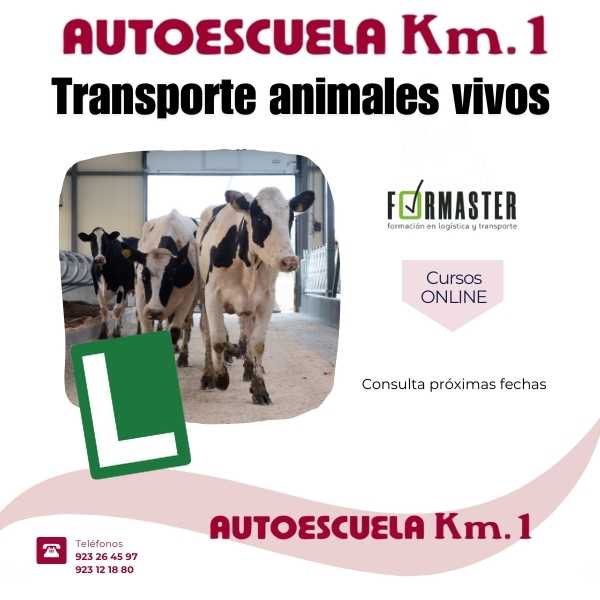 imagen_000004