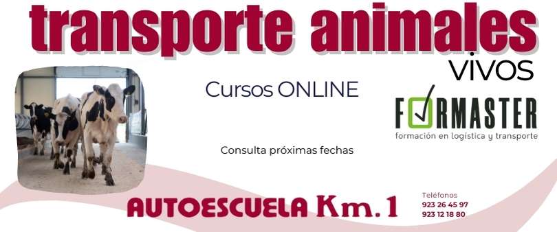 imagen_000001