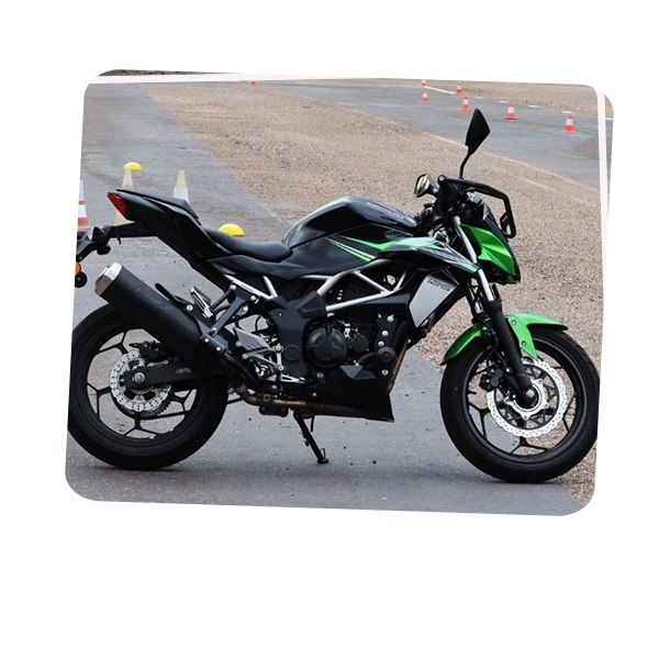 imagen_000008