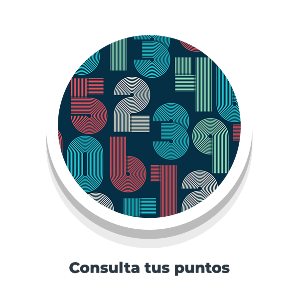 imagen_000002