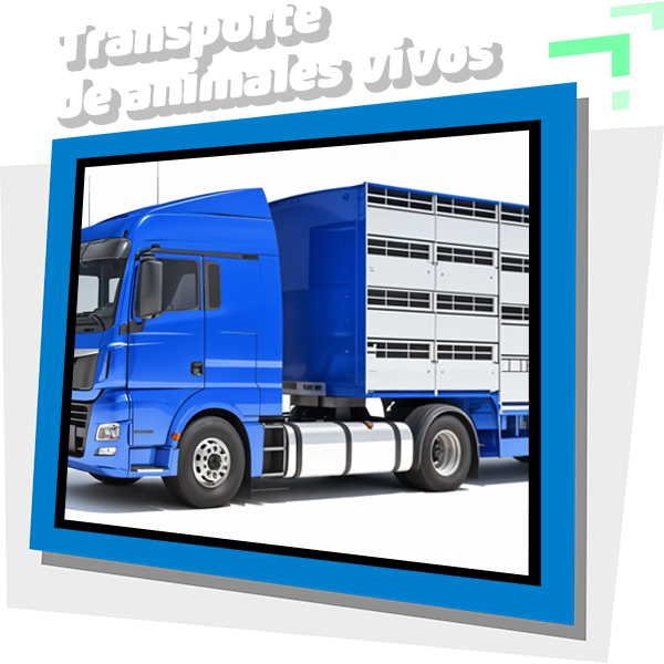 imagen_000002