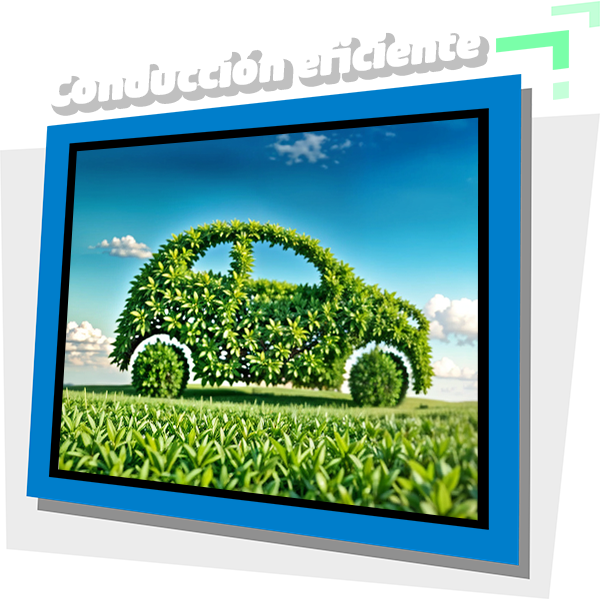 imagen_000004
