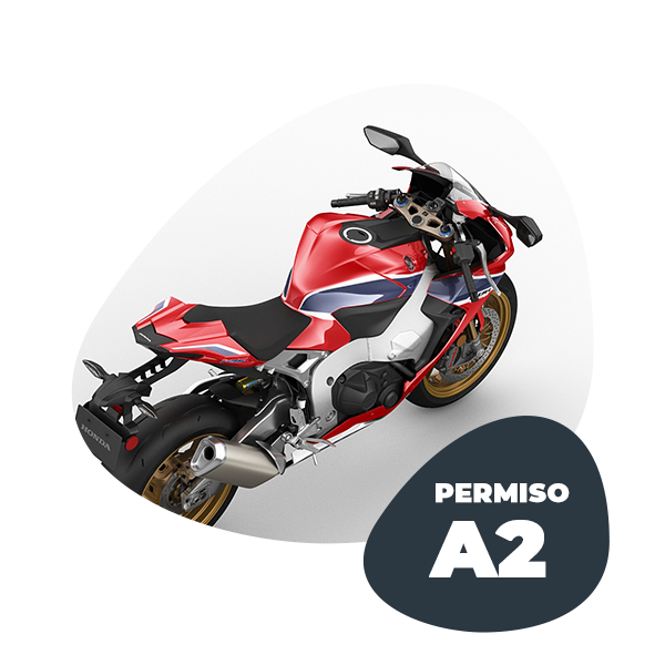 imagen_000003