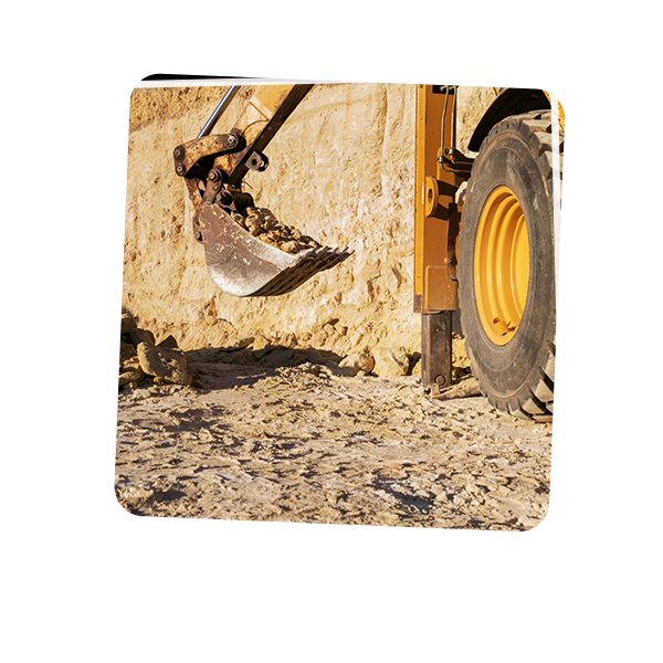 imagen_000008
