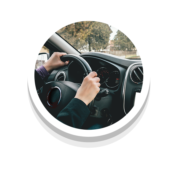 imagen_000003