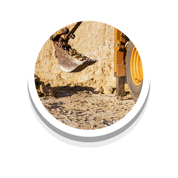 imagen_000008