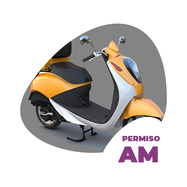 imagen_000001