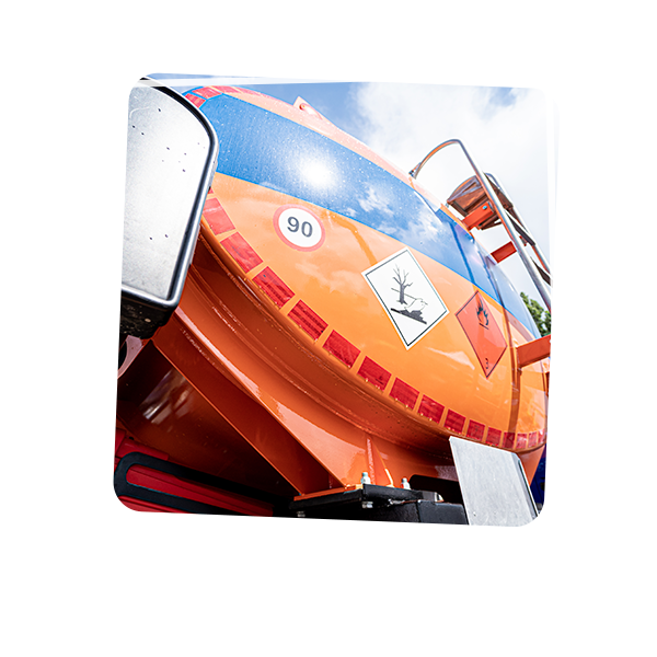 imagen_000004