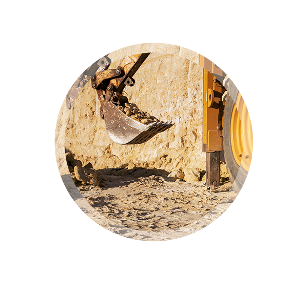 imagen_000008