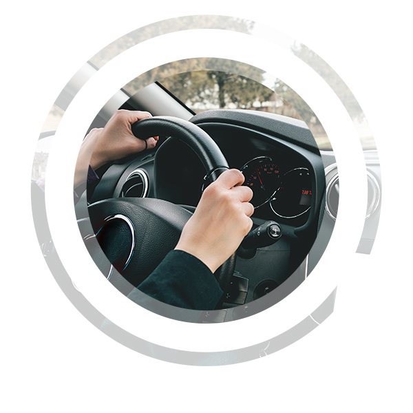 imagen_000003