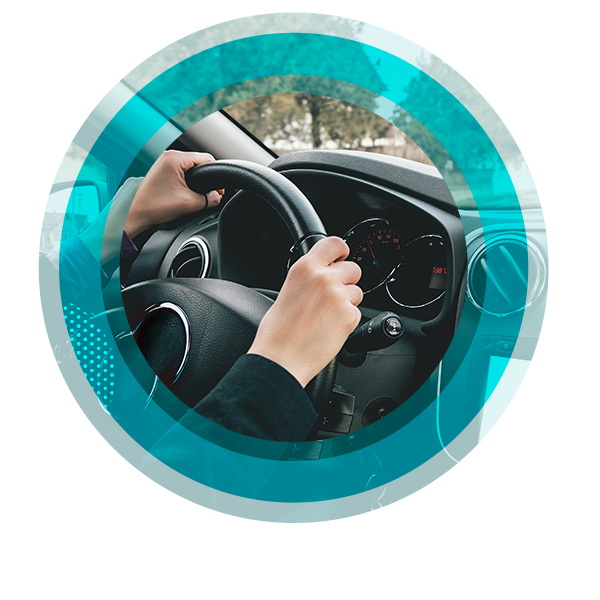 imagen_000003